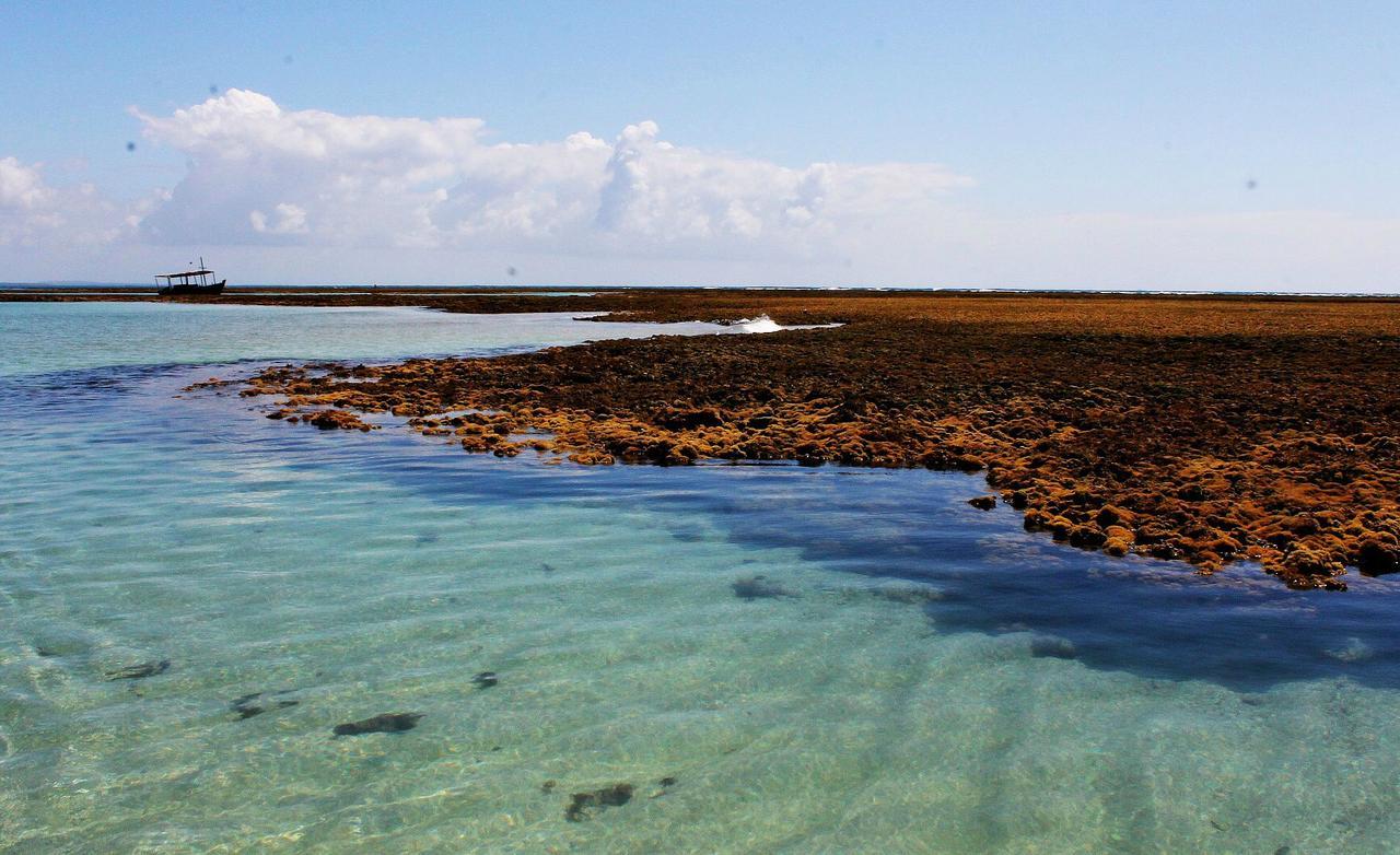 Pousada Casanossa Boipeba Island Dış mekan fotoğraf