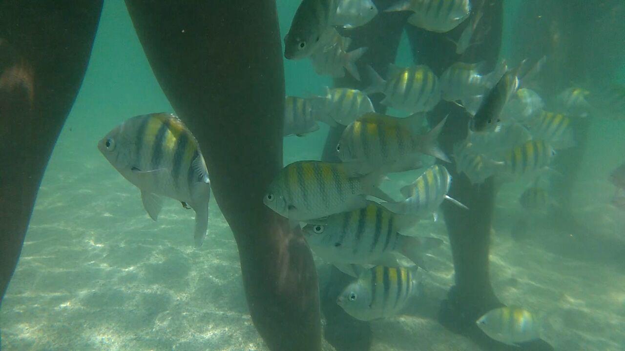 Pousada Casanossa Boipeba Island Dış mekan fotoğraf